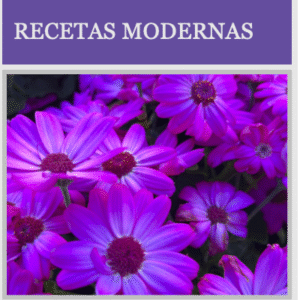RECETAS MODERNAS