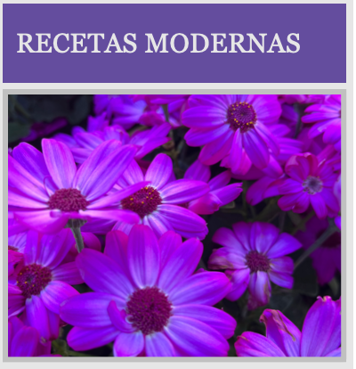 RECETAS MODERNAS