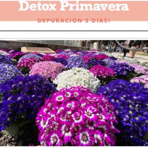 DETOX PRIMAVERA 3 DIAS!