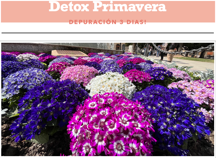 DETOX PRIMAVERA 3 DIAS!